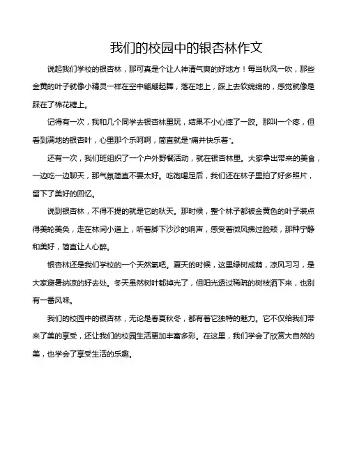 我们的校园中的银杏林作文