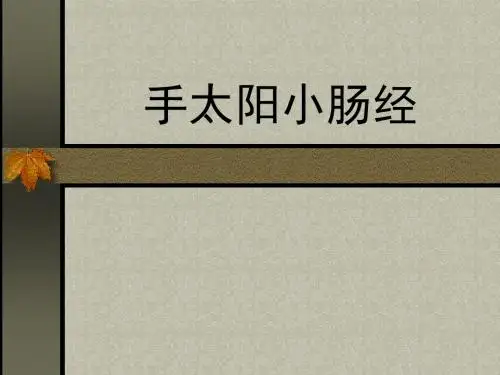 手太阳小肠经