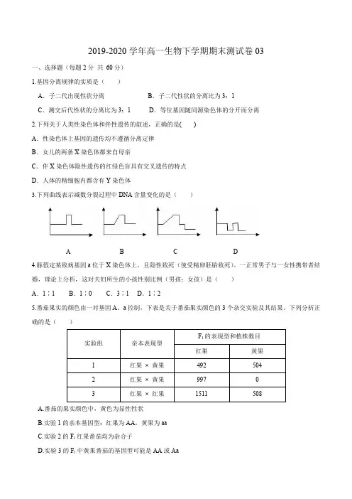 高中生物第二册 2019-2020学年高一生物下学期期末测试卷03(新教材必修二)(无答案)