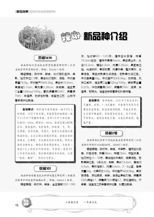辣椒新品种介绍