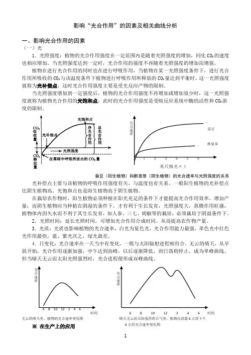 影响“光合作用”的因素