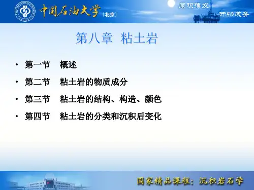 8 第八章 粘土岩