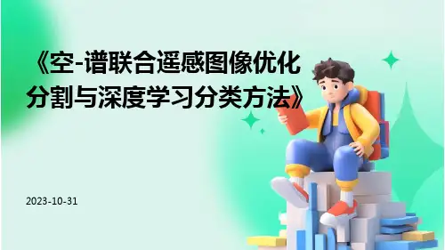 空-谱联合遥感图像优化分割与深度学习分类方法