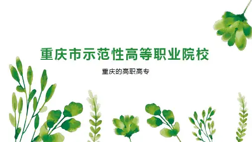 重庆市示范性高等职业院校
