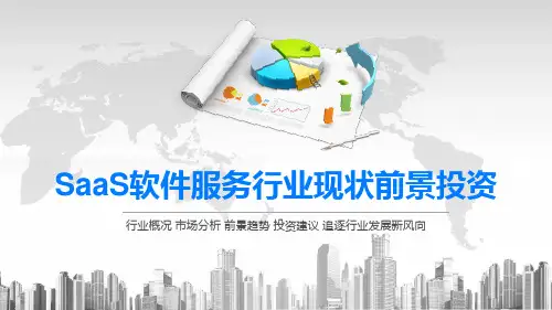 2020SaaS软件服务行业现状前景投资