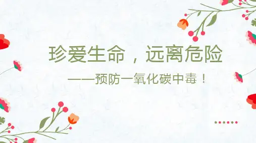 《预防一氧化碳中毒》(课件)-小学生主题班会