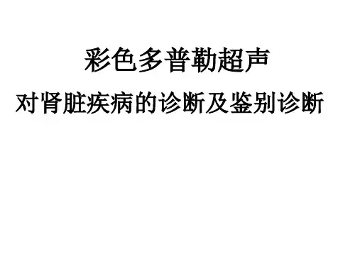 肾脏疾病的彩色多普勒诊断