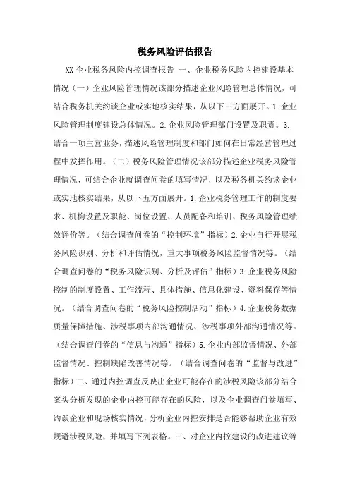 税务风险评估报告