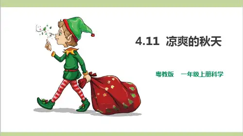 (新教材)粤教粤科版一年级上册科学 4.11 凉爽的秋天 教学课件PPT