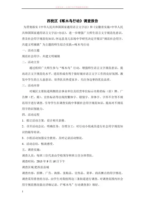 啄木鸟行动调查报告 (1)