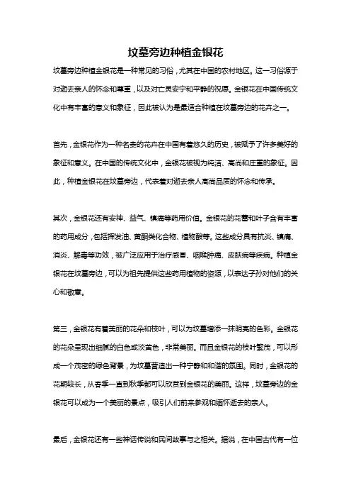 坟墓旁边种植金银花