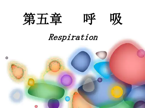 生理学课件：5呼吸1