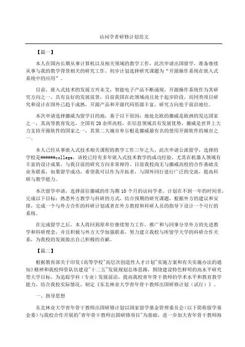 访问学者研修计划