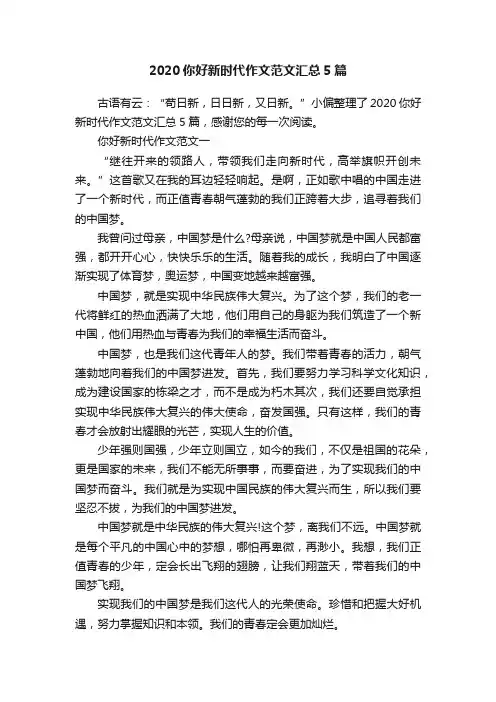 2020你好新时代作文范文汇总5篇