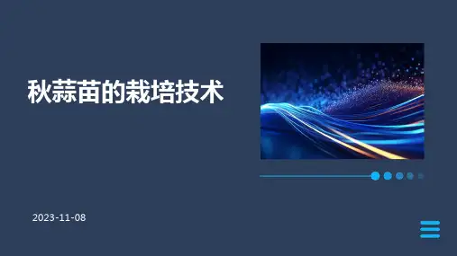 秋蒜苗的栽培技术