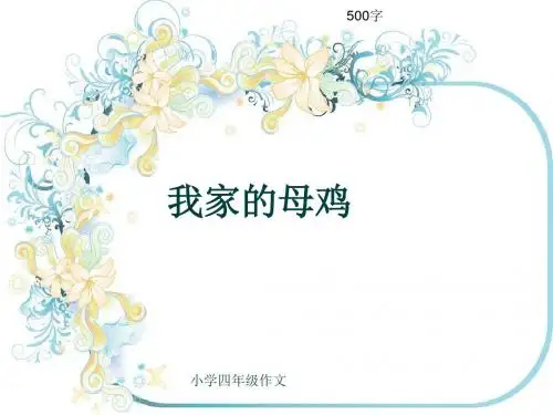 小学四年级作文《我家的母鸡》500字(共7页PPT)