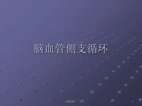 侧支循环PPT课件