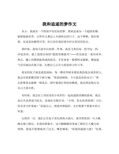 我和追逐的梦作文