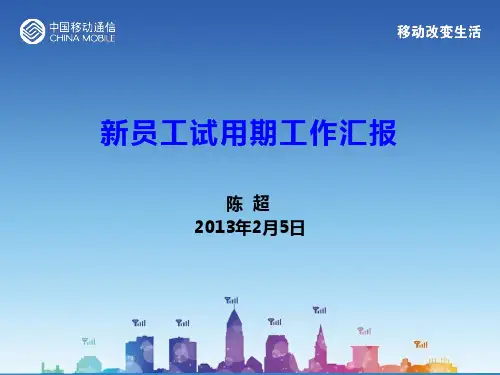 试用期工作汇报PPT
