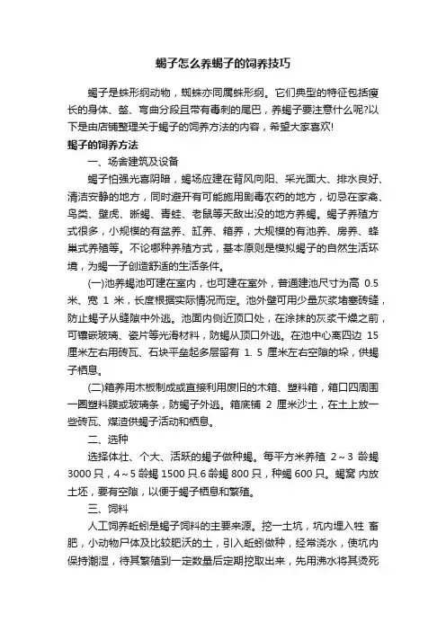 蝎子怎么养蝎子的饲养技巧