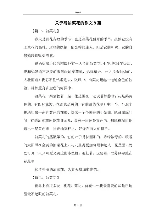 关于写油菜花的作文8篇