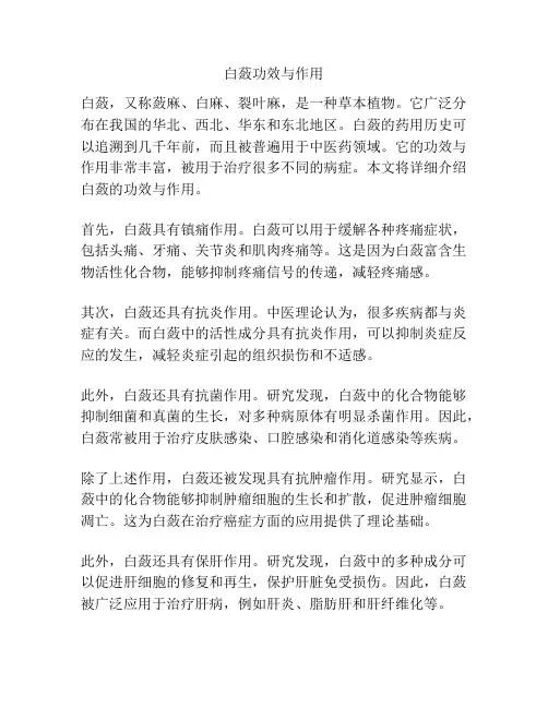 白蔹功效与作用