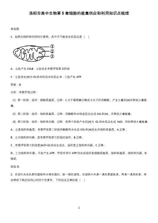 洛阳市高中生物第5章细胞的能量供应和利用知识点梳理