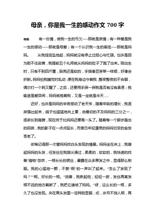 母亲,你是我一生的感动作文700字