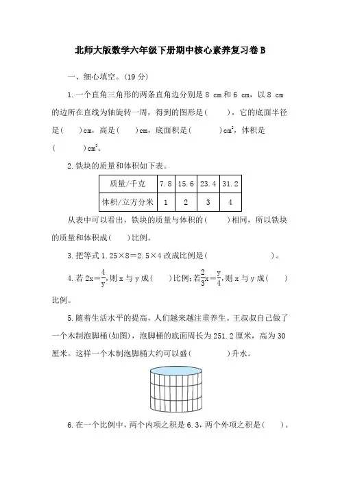 北师大版数学六年级下册期中核心素养复习卷B