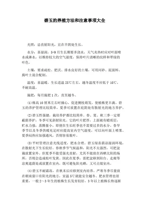 碧玉的养殖方法和注意事项大全