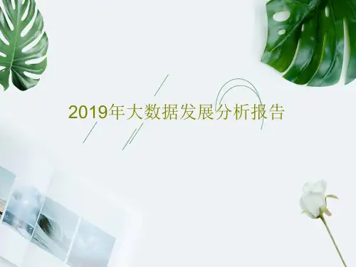 2019年大数据发展分析报告43页文档