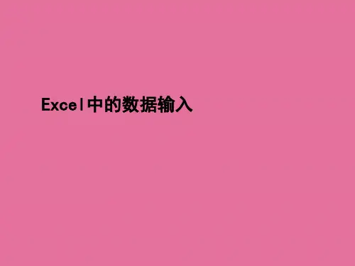 2、Excel中的数据输入ppt课件
