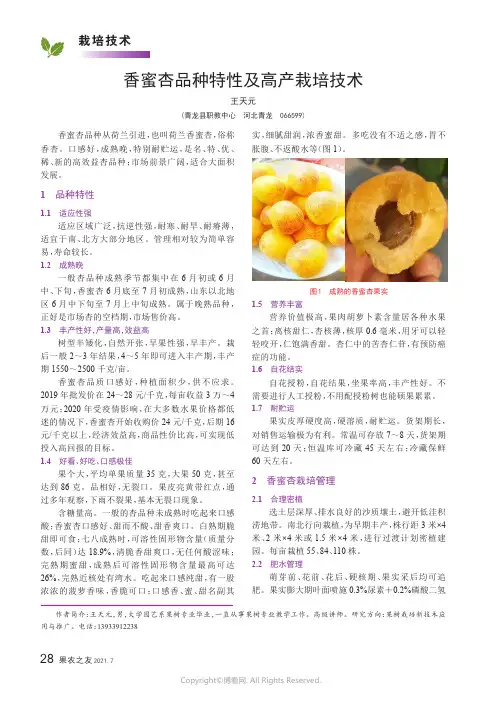 香蜜杏品种特性及高产栽培技术