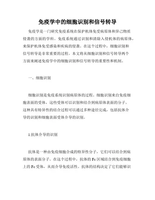 免疫学中的细胞识别和信号转导