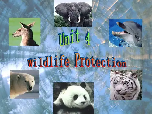 新课标高中英语必修2第四单元wildlife protectionreadingPPT课件