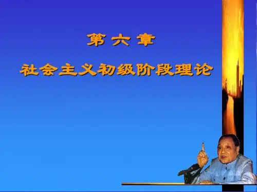 毛概第(6)章