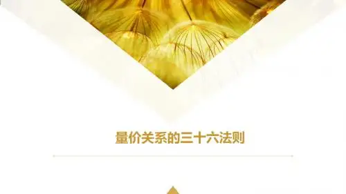 量价关系的三十六法则-文档资料