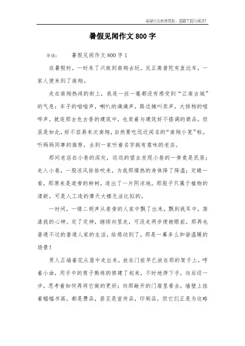暑假见闻作文800字
