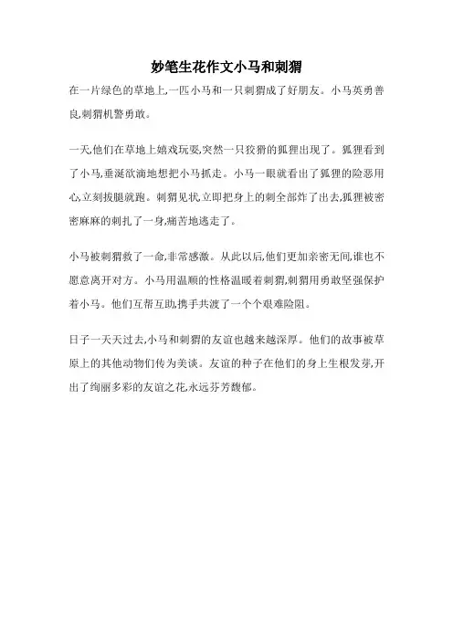 妙笔生花作文小马和刺猬