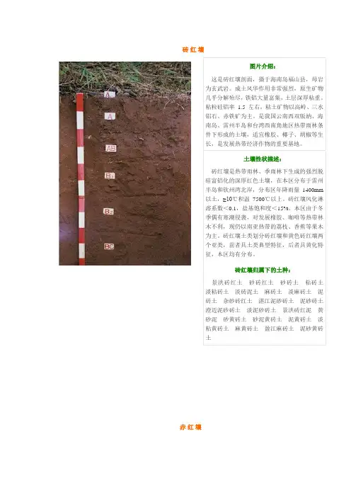 中国土壤类型