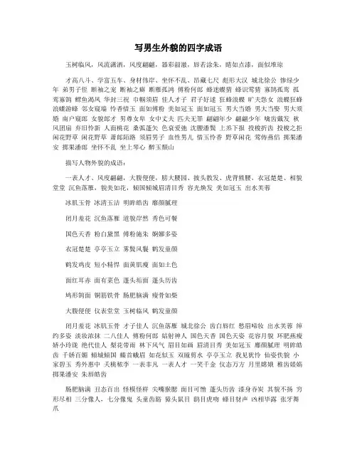 写男生外貌的四字成语