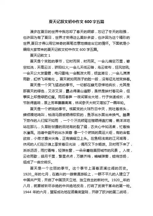 夏天记叙文初中作文600字五篇