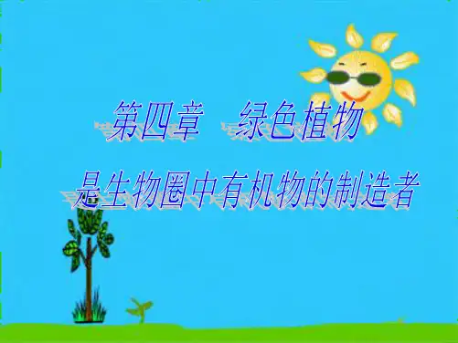 初一上册生物期末光合作用呼吸作用复习(共48张PPT)