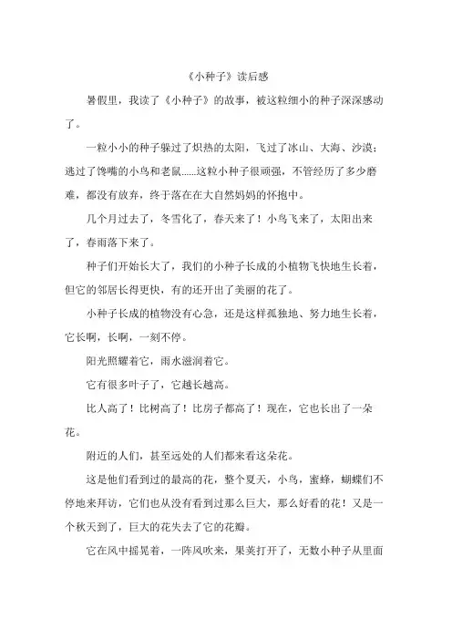 《小种子》读后感