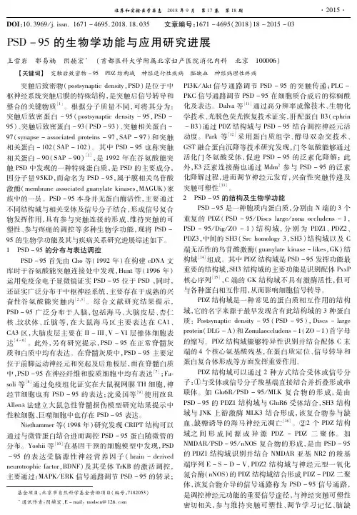 PSD-95的生物学功能与应用研究进展