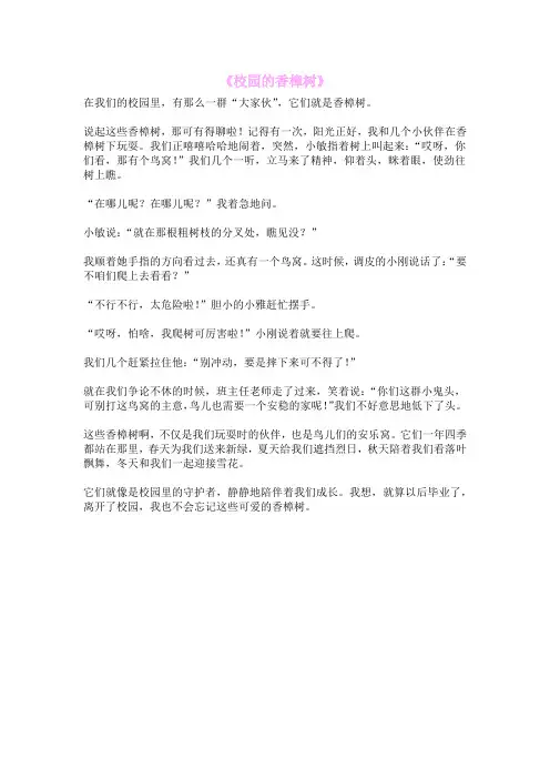 《校园的香樟树》