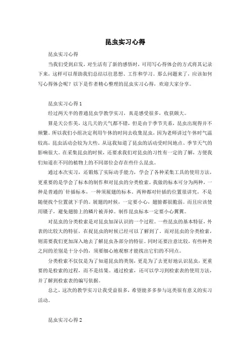 昆虫实习心得