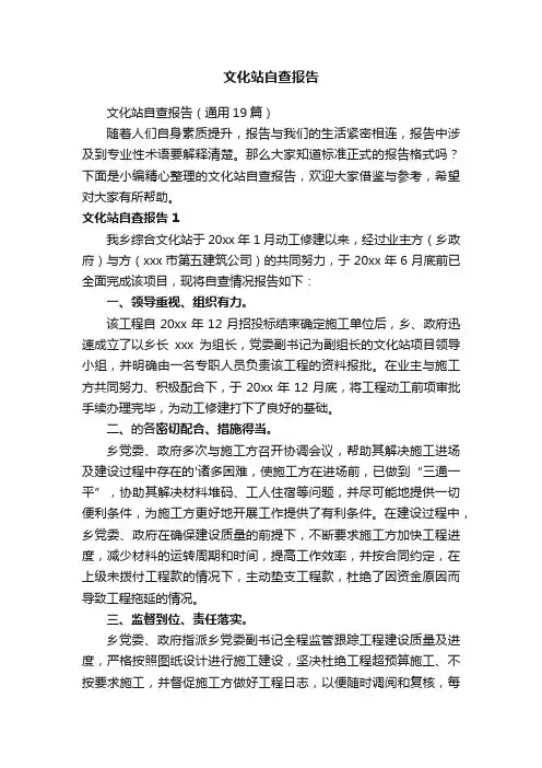 文化站自查报告