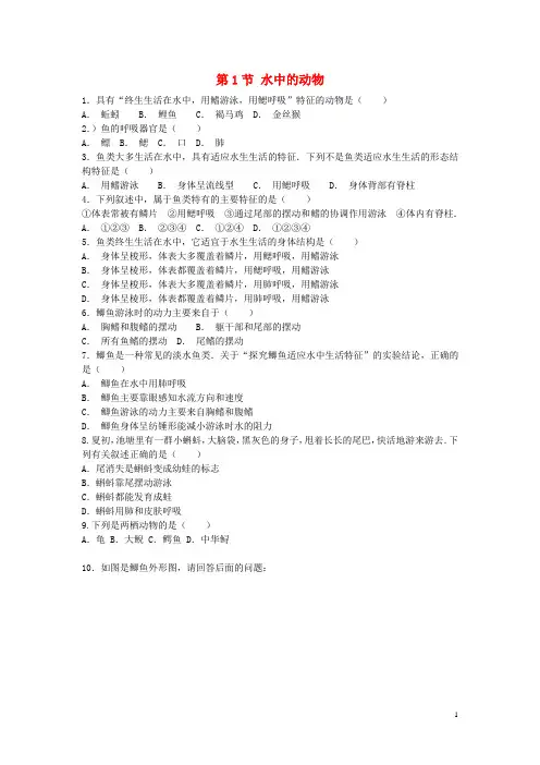 七年级生物下册 第10章 第1节 水中的动物(第2课时)课时练习(含解析) 苏科版