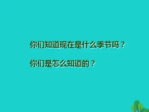 二年级语文下册课文12找春天教学课件新人教